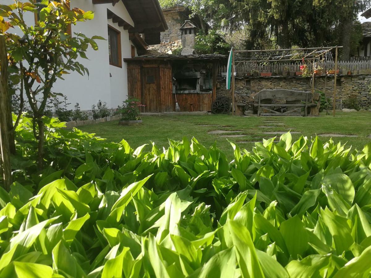 Слънчевата Къща Otel Kovačevica Dış mekan fotoğraf